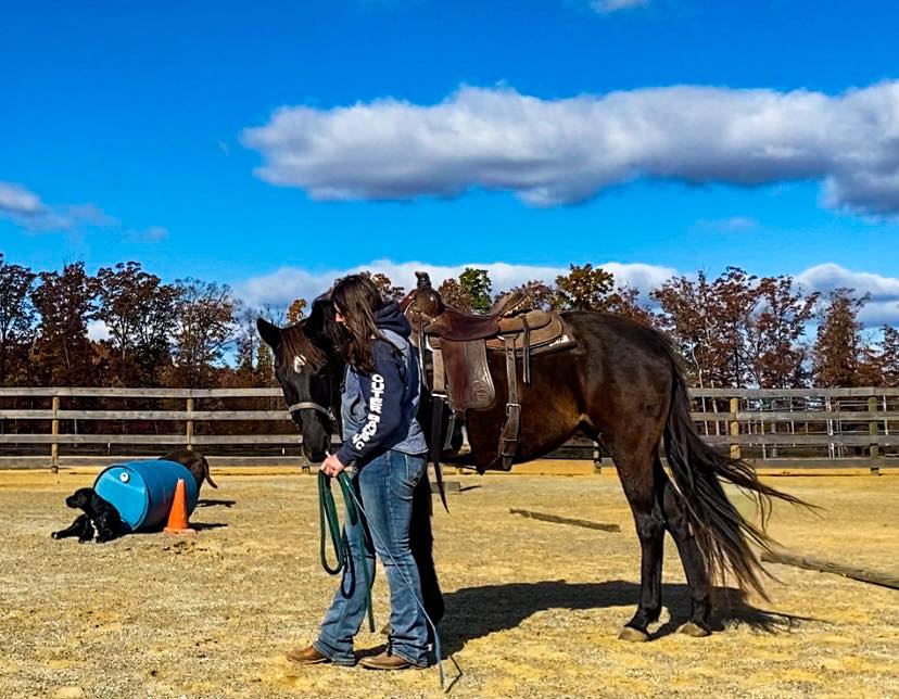 Sunny Side Horsemanship - Sunny Side Horsemanship